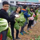 부용초등학교 이미지
