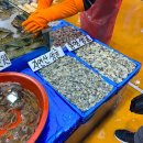 대신수산 이미지