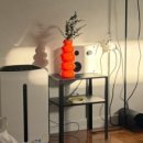 부여애견 이미지