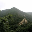 동두천-016 Daum카페