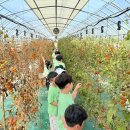 바다의별유치원 이미지