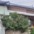 노치경로당 이미지