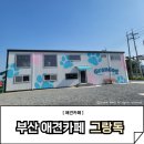 부산 넓은 잔디 애견운동장 그랑독 방문후기