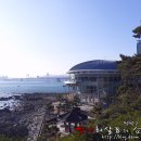 동백섬 이미지