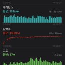 해군사우나 | 2024 제17회 해군사랑 진해마라톤 11.11km 후기(피조개가 본체인/00:57:30)