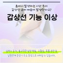 나비샘내과의원 이미지