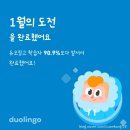 모은지 | 1월 넷째주(1/19~1/25) 일상기록