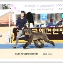 발안바이오고등학교 이미지