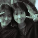 사랑자유평화낭만
