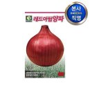 다농 이미지