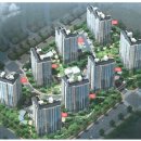 천년나무7 A 이미지