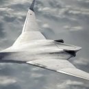 Do you think With the recent handful Losses of the TU-95 이미지