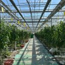 중열농장 이미지