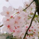 계산중학교 이미지