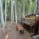 서내비치즈 | [제주서귀포 남원]대한목장카페 드넓은 초원에서 탁트인 풍경과 제주말에게 당근한입 추억후기