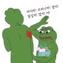 안's Body Balance | 모낭충 관리부터 피부 보호까지, 약산성 클렌저 추천: 뉴스킨 바디바