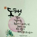1177 Daum카페