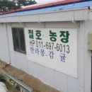 철호농장 이미지