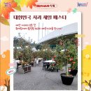 예산사과