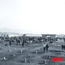 서울푸줏간 이미지