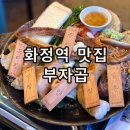 고양 화정역 곱창 맛집 소곱창 부자곱 화정직영점 곱마카세 후기