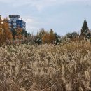 서호꽃뫼(2) 이미지