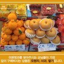 미광청과 이미지