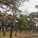 배관청사람들 이미지