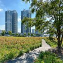 어진동_어진교차로 이미지