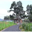 담양 만옹정 이미지