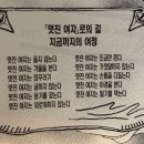 상여자 필수품 트윗 모음86.twt 이미지