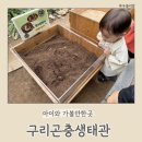 구리 아기랑 가볼만한곳 | 구리곤충생태관 다녀온 후기