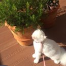 이끌림동물병원 이미지