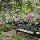 피츠로이가든 이미지