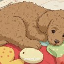 보비동물병원 이미지