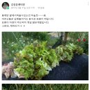 참사랑 노인건강센터 이미지