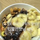 올리브영부천시청역점 | ['요아정' 부천시청역점] 입짧은햇님set 꿀조합과 칼로리, 혼자말고 둘이 먹어야하는 이유