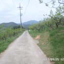 북면초등학교승산분교장 이미지