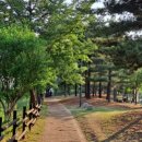 서호공원 이미지