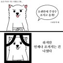 카프킥복싱.MMA 이미지