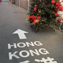 구이박사양꼬치 | 충장로 맛집 홍콩거리의 풍호양꼬치 광주홍콩점 후기 (연태고량주 블랙있음) | 내돈내산