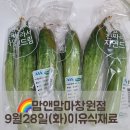 회원동328 | 맘앤맘마창원점-9월28일(화)이유식재료&amp;이유식