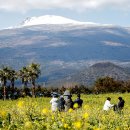 (주)제주타임 이미지