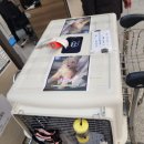 해피카센타 이미지