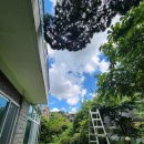 공정부동산중개법인주식회사 이미지