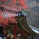 금우유통 | "금우태자전" - 고전문학