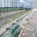 봉우농장 이미지