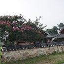 요천묘 이미지