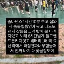 다들림세탁소 네이버블로그