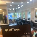 보브헤어(VOV)